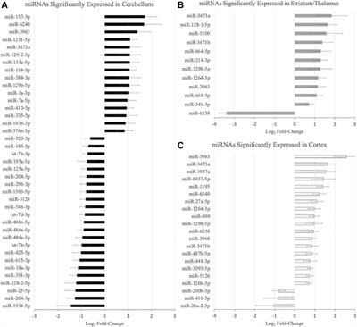 Early Brain microRNA/mRNA Expression is Region-Specific After Neonatal Hypoxic-Ischemic Injury in a Mouse Model